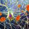 Scientists claim major discovery of mechanics of Alzheimer’s progression in brain