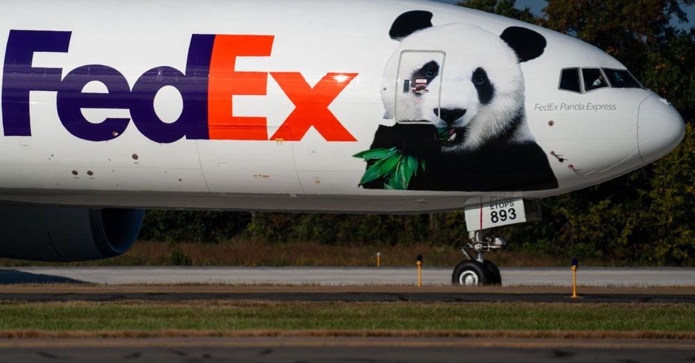 Giant Pandas return to Washington National Zoo, extending two decade tradition with China