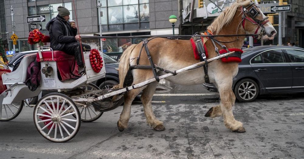 Mamdani reaches deal with NYC council leader to ban horse carriage industry