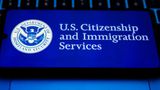 Report: Visa programs are over crowded, lower wages