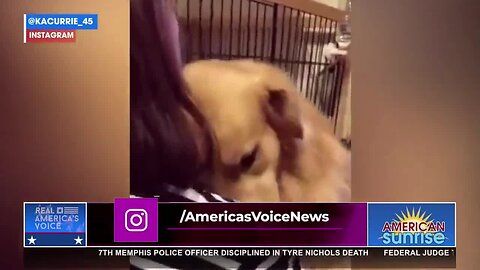 Watch and try not to cry! 😢  - Real America's Voice News