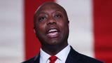 Sen. Tim Scott critical of MSNBC host Reid's comment suggesting he's a GOP 'diversity' prop