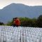 US Honors Its War Dead on Memorial Day