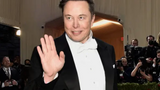 What’s Up With Elon Musk? And Why is He Forcing Unwanted Twitter/X Crap on His Users?