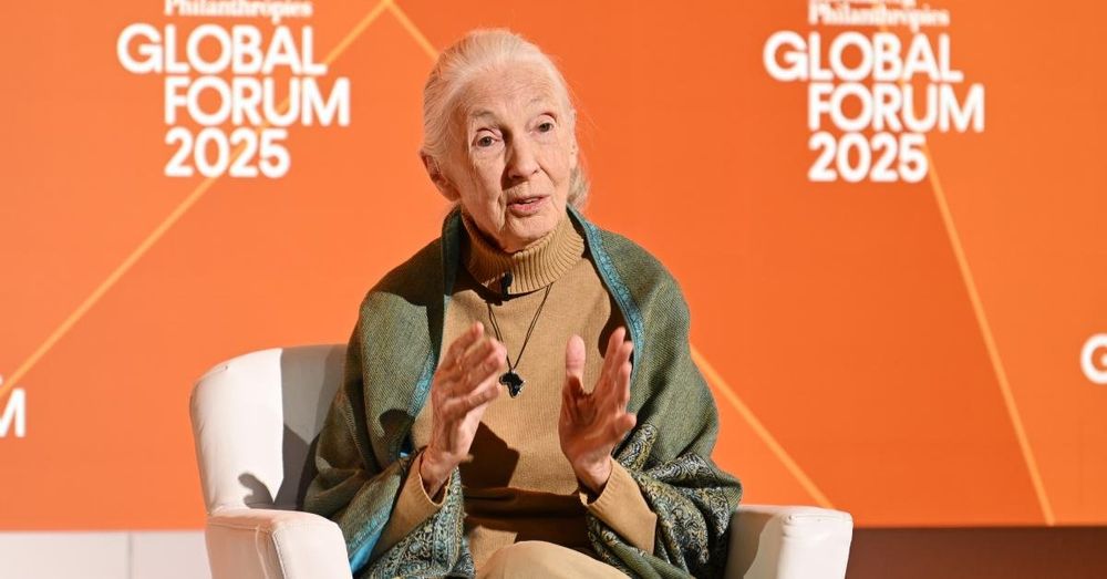 Legendary primatologist Jane Goodall dies at 91