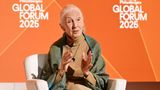 Legendary primatologist Jane Goodall dies at 91