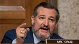 Ted Cruz loses cool when asked about mask usage, says 'questions are only directed at one side'