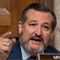 Cruz: It took '92 days after being appointed border crisis czar' for Harris to schedule border visit
