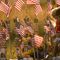 Mysteries linger about target and fate of Sept. 11 United Flight 93 that crashed in Shanksville, Pa.