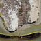 Oil company responsible for spill cited previously: Report