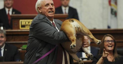 West Virginia Gov. Justice holds up dog during speech, suggests Bette Midler, 'Kiss her heinie'