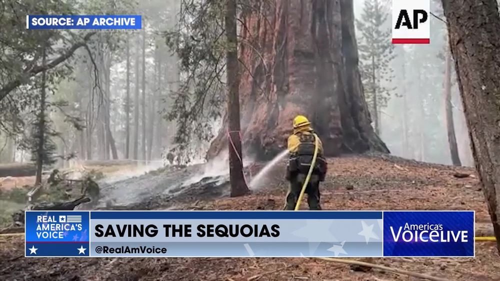 More Churches Attacked & Saving The Sequoias