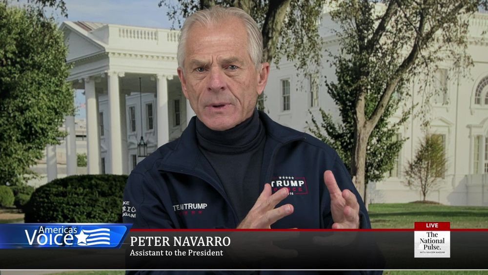 Peter Navarro comes on to show his Immaculate Deception report slide by slide